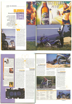 Midiscan Reitwagenartikel "Blumen und Meer - Suzi DL 650"